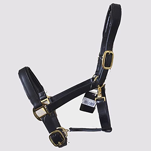 Image of Gallop Economy Leather Padded Headcollar, Cob Size, Black