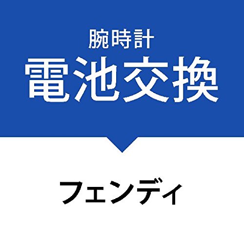 �d�r�����T�[�r�X�r���v�m�t�F���f�B�nFENDI