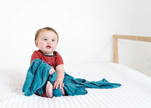 Image of Copper Pearl Swaddle Blankets for Newborns | Soft Stretchy Receiving Blankets for Boys and Girls | Large 46 x 46 Inch Baby Blankets | Lightweight and Breathable Swaddles | Steel