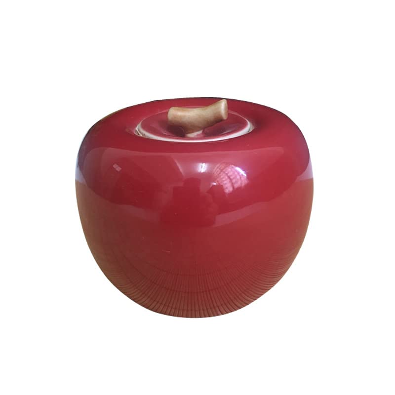 anal plug vibration Vibrating Butt Plug, Anal Plug