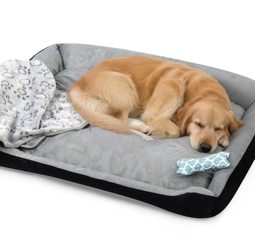 Truevaste Hundebett 90x70cm mit Kleine Hundekissen in Knochenform & Leichte Decke,Weiches Hundesofa aus Kurzhaar-Flausch für Mittelgroße Hunde,Waschbar Hundekorb,Hundekörbchen mit Rutschfester Boden