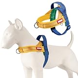 Yellow Escape Proof Dog Harness with Handle Freedom No Pull Lightweight Soft Mesh Vest Medium Sized Dogs Front Hook, Chest Adjustable Reflective Dog Harness with Quick Release Buckle, Yellow/Blue, XL