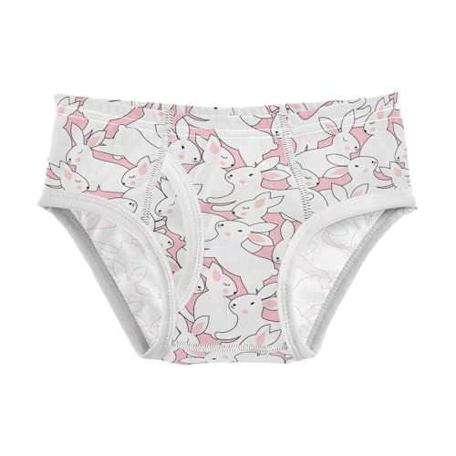 Wusikd Cute Rabbits Boys' Underwear Cotton Bunnies Pink Boys Briefs Soft Toddler Underwear 6Y