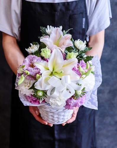 փƑ傫Ȕ{ t[AWg MTCY (eC) (//ԕd/l\//@/~/ފ) [`s̉ԉ t[Xg]