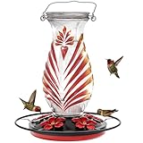 Hummingbird Feeder for Outdoors, 24oz Glass Nectar Feeder...