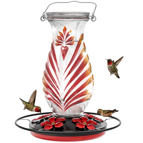 Hummingbird Feeder for Outdoors, 24oz Glass Nectar Feeder with Perch & 5 Flower Feeding Ports, Leakproof Hanging Bird Feeder for Garden Yard Decor, Outside Gifts for Women & Mom, Ruby Red