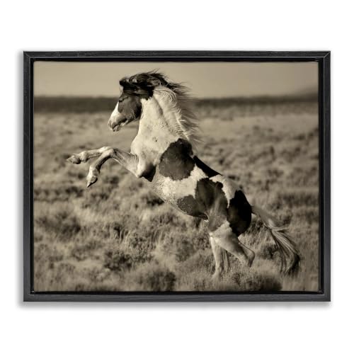 Rearing Spotted Horse Countryside, 24 x 30 Inch Canvas in Floater Frame