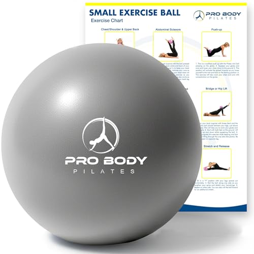 ProBody Pilates Ball, Kleiner Gymnastikball, 9-Zoll-Barre-Ball, Trainingsball für Stabilität, Barre, Bauch, Rumpf, Physio- und Physiotherapieball für das Fitnessstudio (Silber)