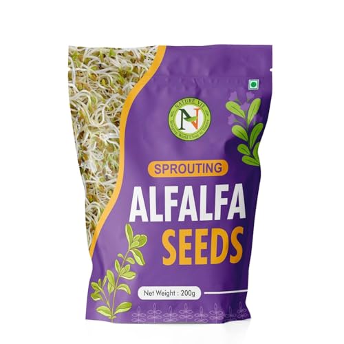 Image of NatureVit Alfalfa Seeds for Sprouting 200g | Rich in Vitamins & Minerals | Natural Edible Alfa Alfa Seeds | Sprouting, Eating, Salad