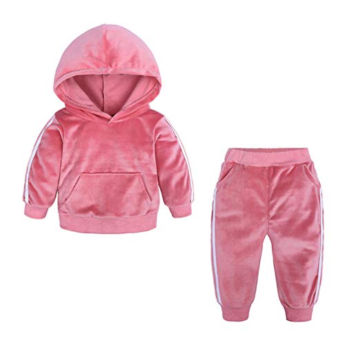 Kids Boys Girls 2Pcs Winter Clothes Velvet Cartoon Pocket Pullover Hooded Tracksuit Top +Trousers Sweatpants Outfits Set (DTZ9456 Pink,18-24 Months)