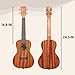 Kala KA-15 Series Satin Mahogany Ukulele, with Rosewood Fingerboard, 4 Aquila Super Nylgut Strings, for All Ages and Skill Levels, 24 Inches, Concert Ukulele