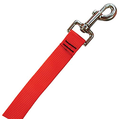 Nite Ize Nite Dawg Led Pet Leash, Light Up Dog Leash, Glows + Flashes, 5 Feet Long, Red #TOP2