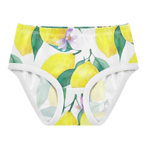 Joisal Aesthetic Toddlers Underwear Floral 2t Cotton Panties Little Girl Watercolor Lemons Slice Flowers Briefs Girls Undies