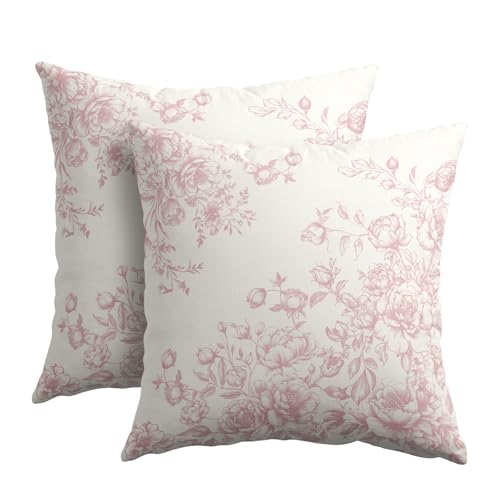 Kawani Chinoiserie Flowers Throw Pillow Covers...