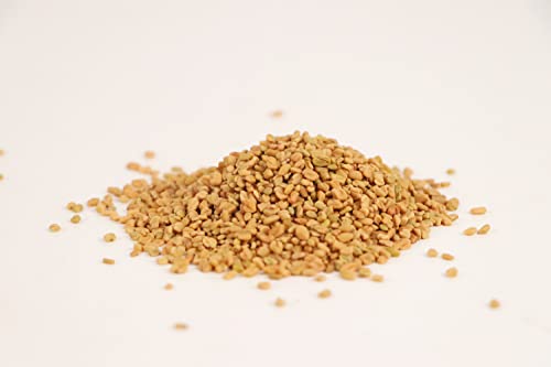 Ramaroma Fenugreek (Methi) Seeds Whole 5.1Oz 144G Jar, Trigonella Foenum Graecum ~ All Natural | Vegan | Gluten Friendly | Non-Gmo | Indian Spices & Masala, Used In Cooking & Ayurvedic Spice #TOP4