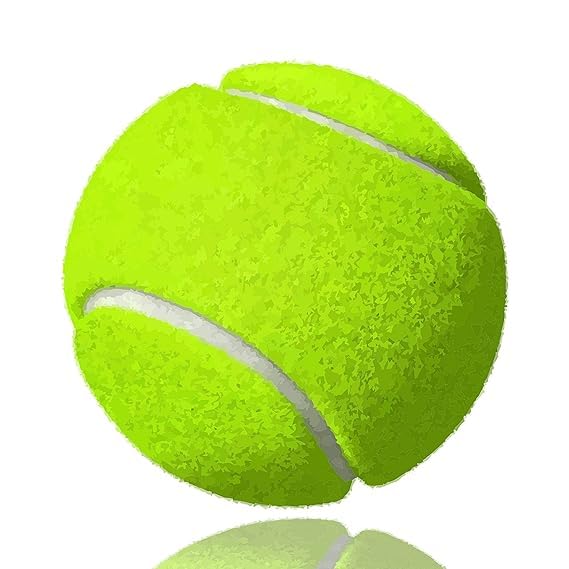 Image of Himachal Willow Cricket Bat for Kids with Tennis Ball and Cover | Light Weight Cricket Bat for Tennis Ball (Size - 5 for 10 to 12 Years Old)