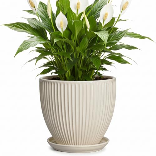 Wliror Ceramic Flower Pots, 8 Inch Plant Pot with Drainage Hole and Saucer, Modern Planters for Indoor Plants, Round Indoor Pots for Plants, Office Home Decor, Plant Lover Gifts, Cream White