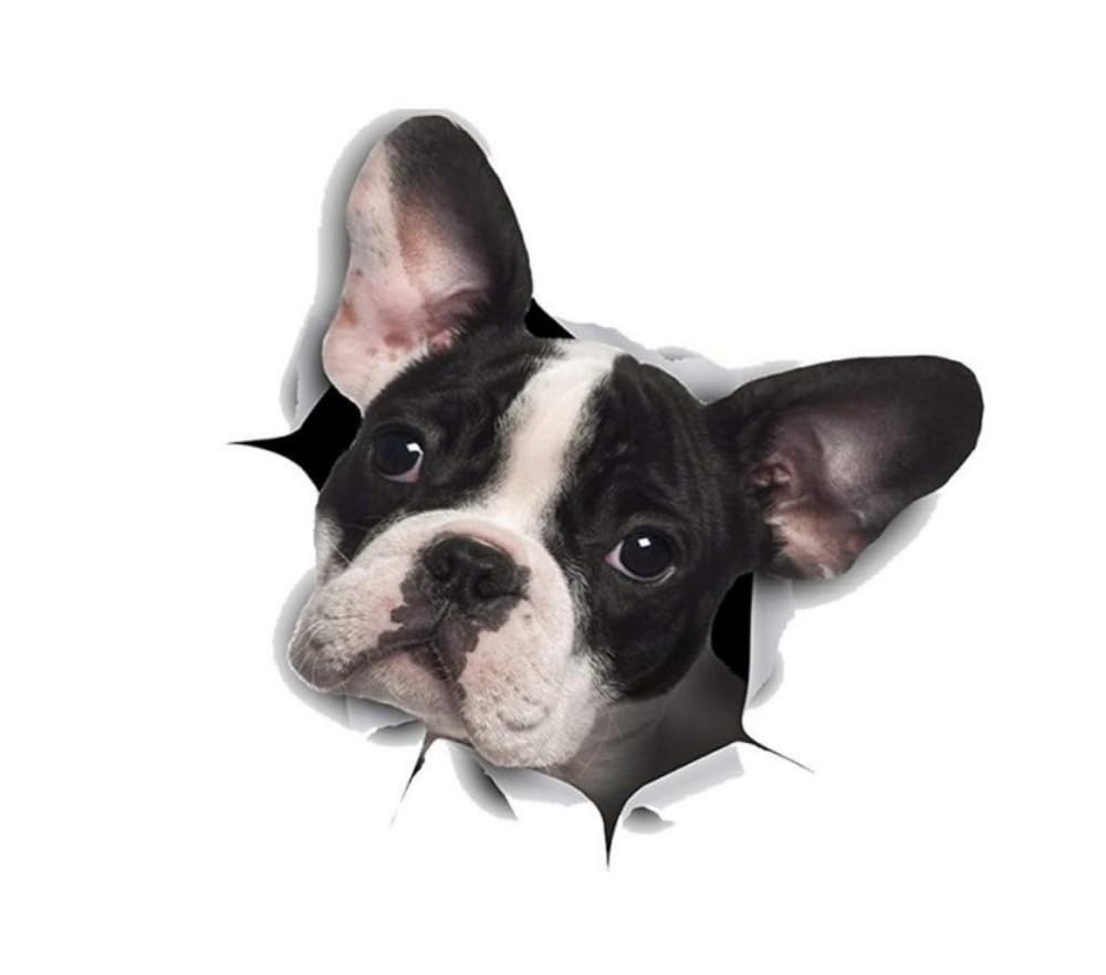 Französische Bulldogge Aufkleber, 3D Zerrissener Effekt, Was