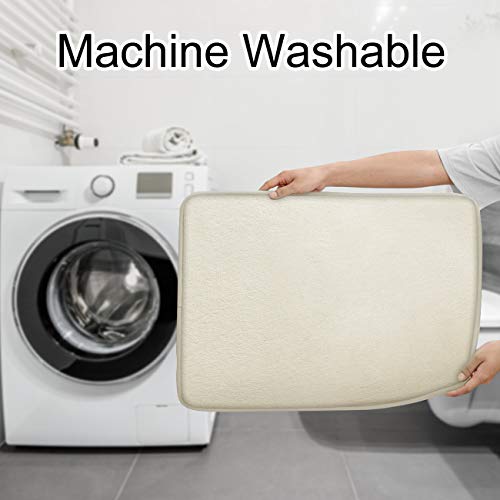 https://m.media-amazon.com/images/I/41WY4pRrrZL._SL500_.jpg