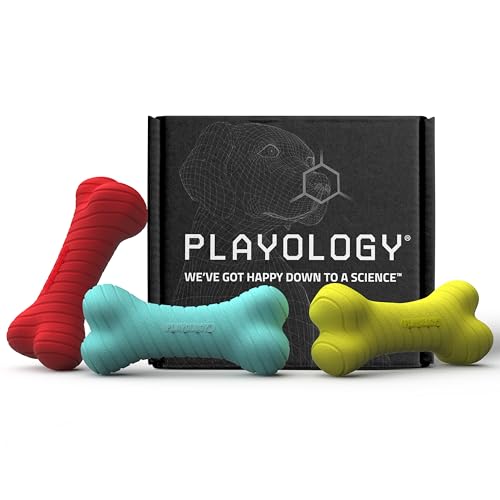 Playology Dog Toys | Rainbow of Scent Chew Toy Gift Box | Dual Layer Bones for Dogs Value 3-Pack Dog Bones | Peanut Butter Chicken & Beef Scented Gift Set of Chew Toys for Dogs