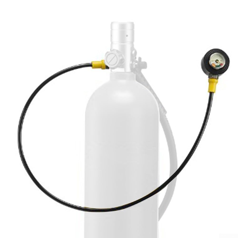 Tauch-Manometer, M10 x 1, Gewinde mit leuchtendem Zifferblatt, Edelstahl, wasserdicht, widerstandsfähig, Testgerät für genaue Tankdruckmessung
