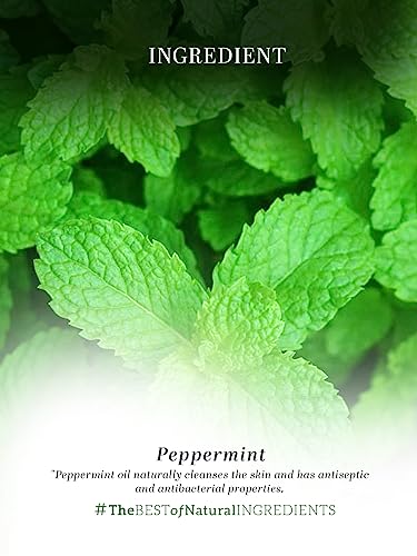 Khadi Natural Herbal Peppermint Essential Oil, 15ml - Image 6