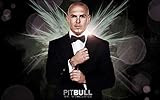 Pitbull Rapper Mr. Worldwide Singer Songwriter 12 x 18 Inch Quoted Multicolour Rolled Unframed...