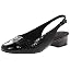 Black Crocodile