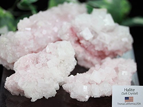 Amazon.co.jp: 【天然石の島田商事】アメリカ カリフォルニア トロナ産