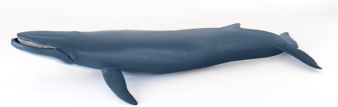 Papo Large Giant Sea Whale Figurine, Marine World Collection, Kids Ages 3+