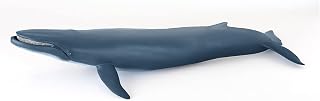 Papo - Blue Whale - Figurine Marine Animals - 3+ - Hand Painted - Durable Educational Toy - 38.5 x 17 x 7.5 cm - Children's Toy - Gift Idea