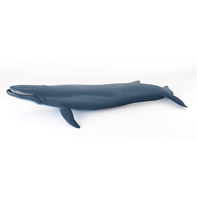 Figura Grande de Ballena Gigante del Mar, Colección Mundo Marino, Niños 3+