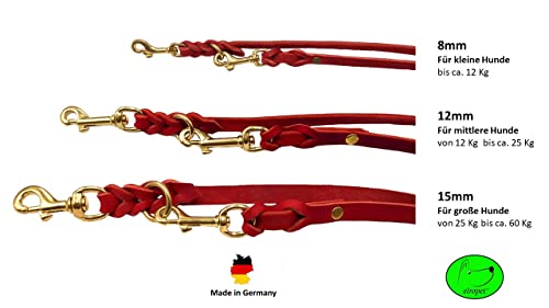 Hundeleine Fettleder Messing kleine Hunde/große Hunde 2m / 2,40m / 2,80m / 3,50m / 5m Doppelleine verstellbar (2m X 8mm, Rot)