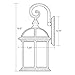 ETOPLIGHTING Contemporary Collection Exterior Outdoor Wall Lantern with Beveled Clear Glass APL1020