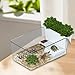 Bothyi Small Turtle Tank Turtle Aquarium Decorative Multi Use Terrapin Breeding Box Reptile Habitat for Crabs Crayfish, White