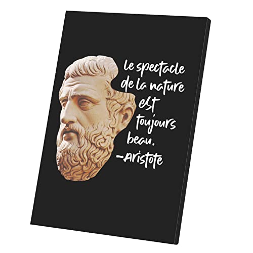 Tableau décoratif nature affiche poster citation Aristote déco murale chambre