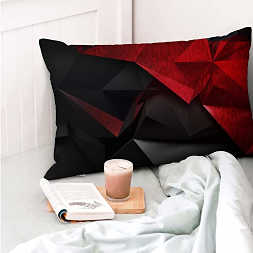 Throw Pillow 2Pcs Cases,Red And Black Abstract Background Double-Sided Printed Cushion Covers,12X20 Inch Decorative Pillowcase For Living Room Sofa #TOP4
