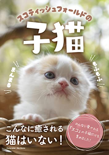 スコティッシュフォールドの子猫 (六花舎ブックス)