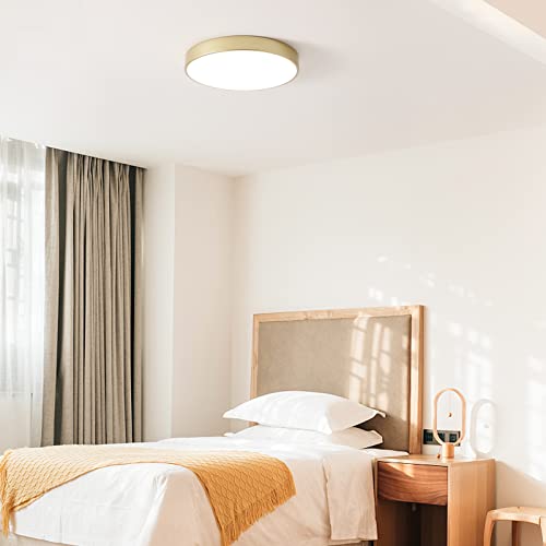 Wheatronic LED Ceiling Light Flush Mount Gold, 24W Kitchen Light Fixture Ceiling Mount Dimmable, 12 inch Close to Ceiling Light Fixture 5CCT for Bedroom, Bathroom, Living Room by Wheatronic - Used condition - Image 9
