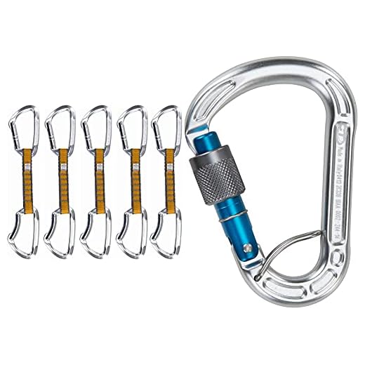 Climbing Technology Basic Set Nylon Non K-Lock, & Technology Concept SGL