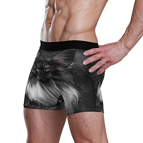 YOUJUNER Schwarze Maine-Coon-Katze Herren Boxershorts Unterwäsche Unterhosen Retroshorts Underpants Boxer Briefs Trunks für Men Männer