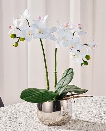 SSZMDLB Under $5 Artificial Orchid Plant, Silk Phalaenopsis Flower In Pot, Lifelike Centerpiece For Home Office Wedding Decor - View #7