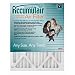 21x22x1 (Actual Size) Accumulair Emerald 1-Inch Filter (MERV 6) (6 Pack)