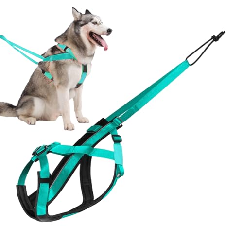 Imbracatura Da Slitta Per Cani | Pettorina Riflettente Da Corsa Per Cani,Cintura Regolabile Comfort per Addestramento Slitte Passeggiate Attività Outdoor