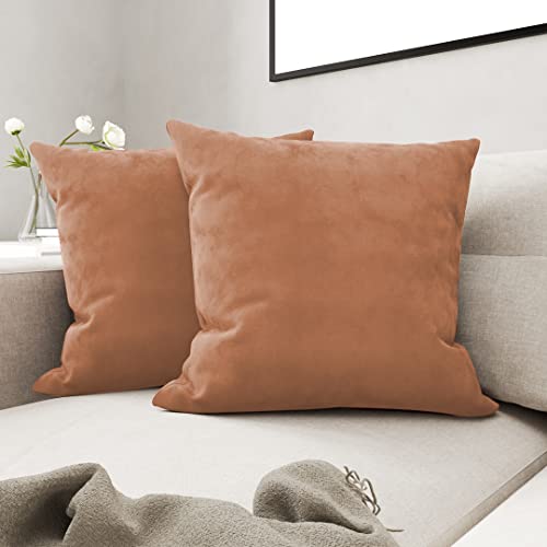 Seevo Velvet Throw Pillow Covers, Soft Decorative Square Cushion Pillows Covers Pack For Couch Sofa Chair Home Bedroom, Set Of 2-16 Inch X 16 Inch (Beige) #TOP16