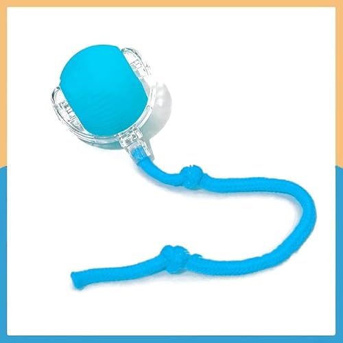 L   L {[ LEDCg  360°] 3[h d ̎L炵 ybg L ߋ dC{[ lV Ԃ XgX U ˂ lR [dP[ut {\