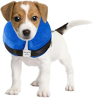 BENCMATE Protective Inflatable Collar for Dogs and Cats - Soft Pet Recovery Collar