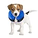 BENCMATE Protective Inflatable Collar for Dogs and Cats - Soft Pet Recovery Collar Does Not Block Vision E-Collar (Small, Blue)