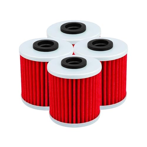 Filtre à huile moto rouge pour révision et vidange de Evo 300