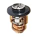 Thermostat 60? C 140? F Suzuki 4 Stroke Johnson 5033721